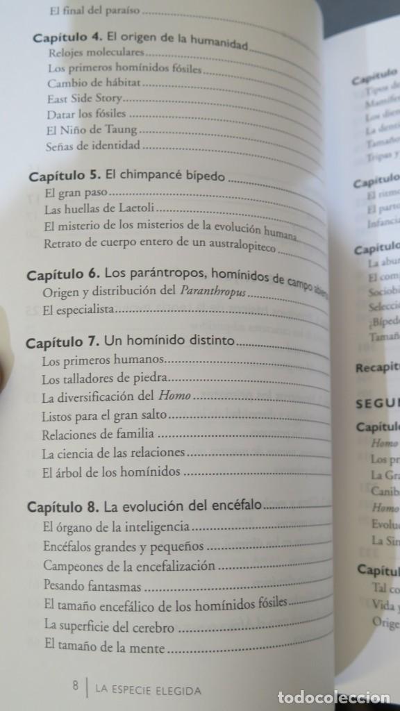 Libros de segunda mano: LA ESPECIE ELEGIDA. J.L.ARSUAGA. I.MARTINEZ - Foto 3