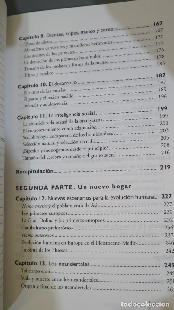 Libros de segunda mano: LA ESPECIE ELEGIDA. J.L.ARSUAGA. I.MARTINEZ - Foto 4