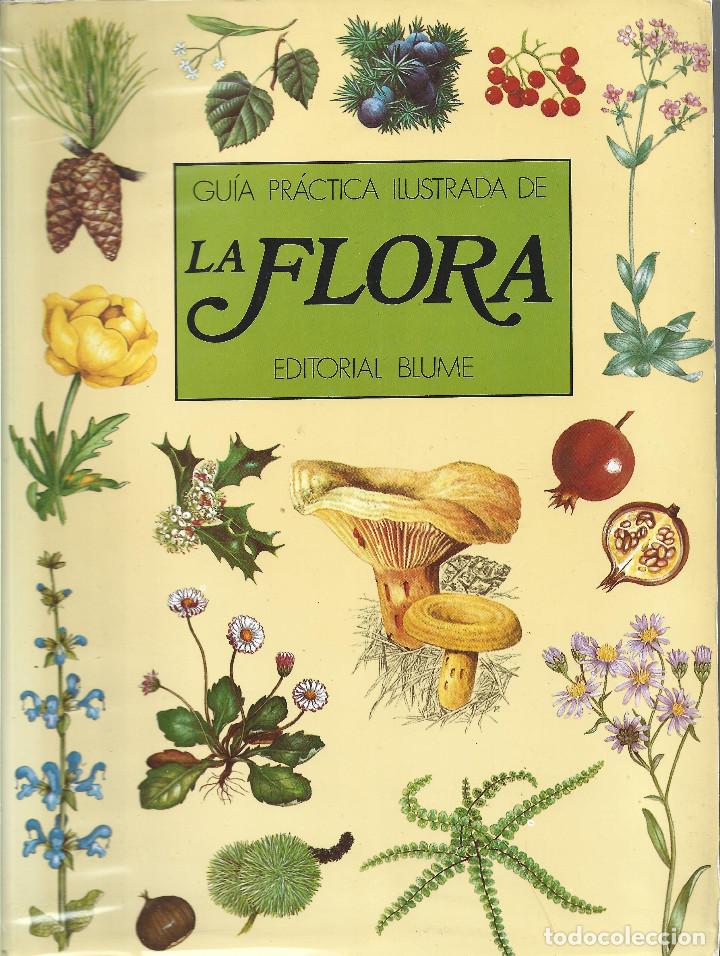 Libros de segunda mano: GU&Iacute;A PR&Aacute;CTICA ILUSTRADA DE LA FLORA - Foto 1