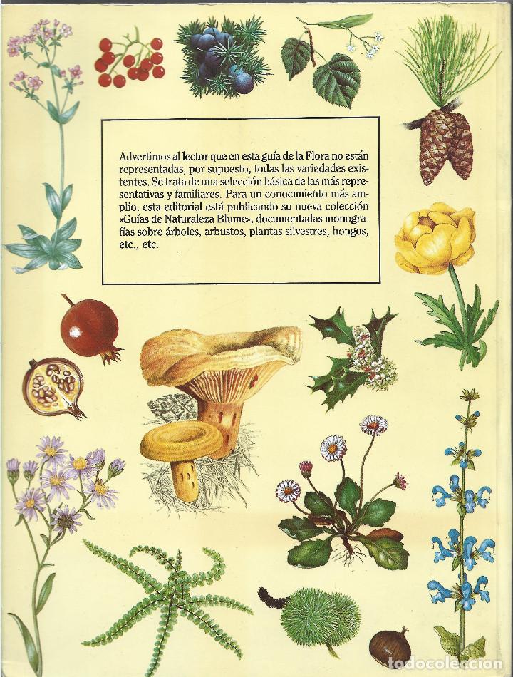 Libros de segunda mano: GU&Iacute;A PR&Aacute;CTICA ILUSTRADA DE LA FLORA - Foto 2
