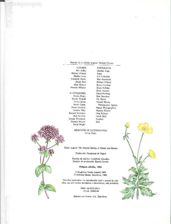 Libros de segunda mano: GU&Iacute;A PR&Aacute;CTICA ILUSTRADA DE LA FLORA - Foto 3