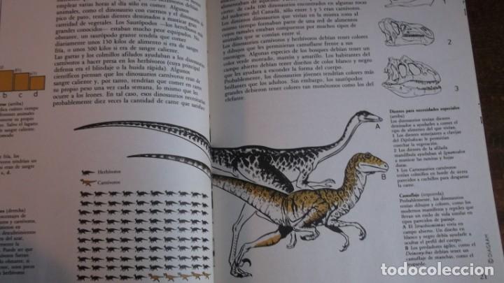 Libros de segunda mano: Gu&iacute;a de Campo de los Dinosauros. Edt Edaf - Foto 2