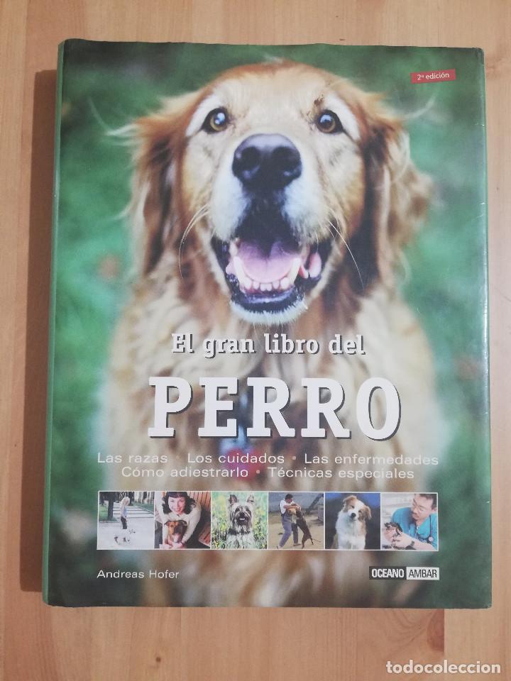 Libros de segunda mano: EL GRAN LIBRO DEL PERRO (ANDREAS HOFER) - Foto 1