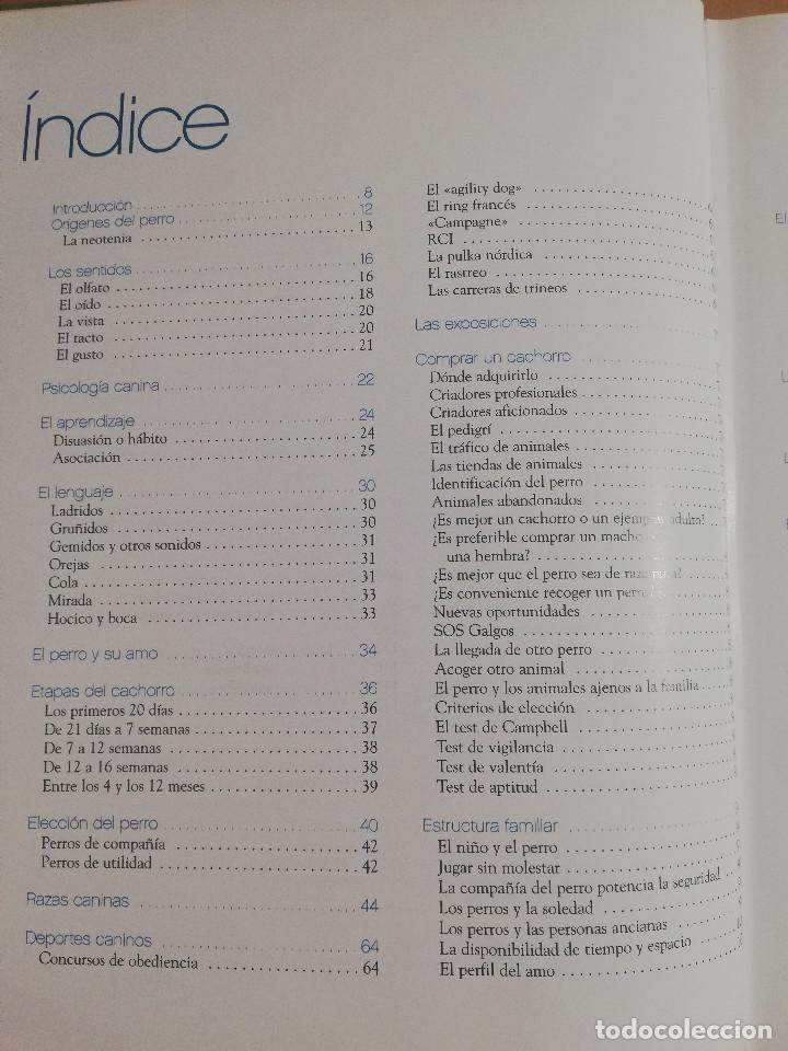 Libros de segunda mano: EL GRAN LIBRO DEL PERRO (ANDREAS HOFER) - Foto 3