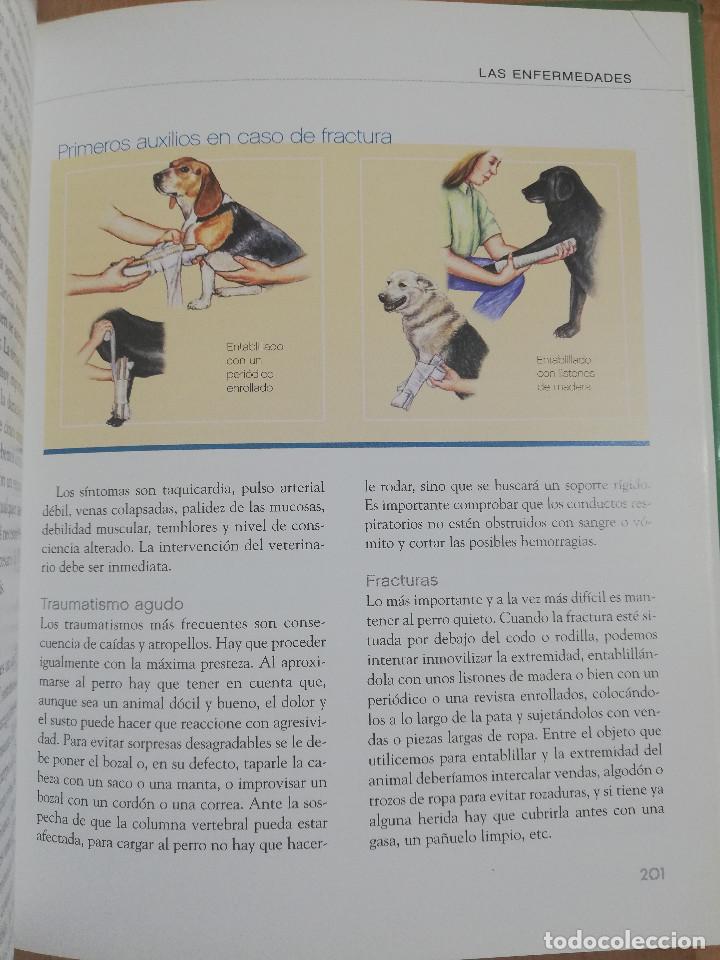Libros de segunda mano: EL GRAN LIBRO DEL PERRO (ANDREAS HOFER) - Foto 5