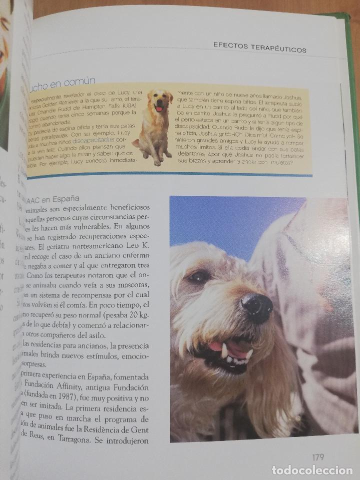 Libros de segunda mano: EL GRAN LIBRO DEL PERRO (ANDREAS HOFER) - Foto 6