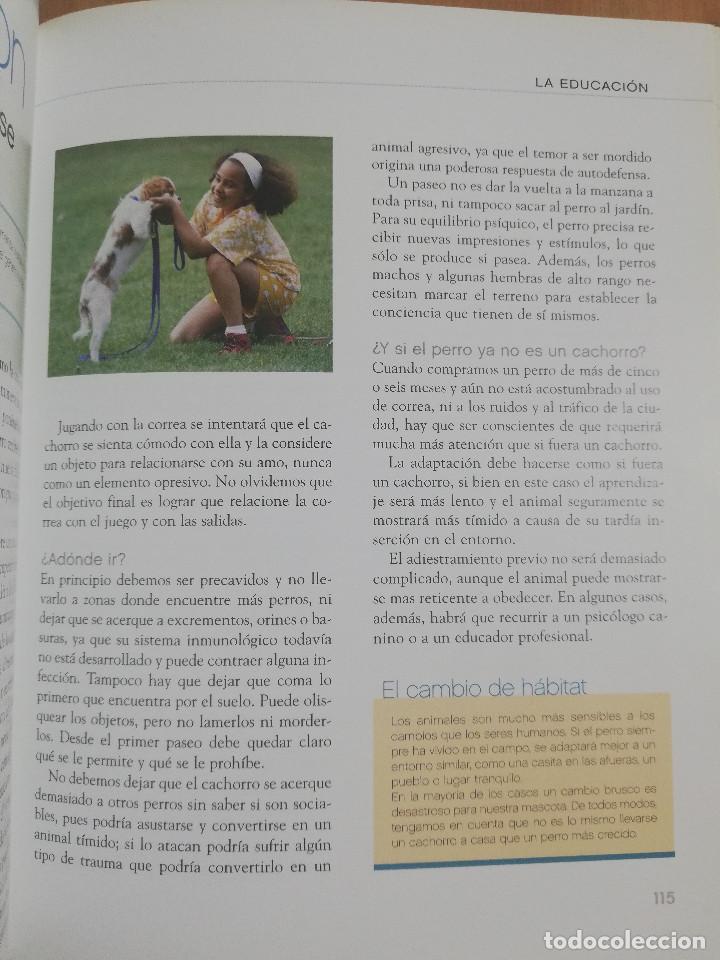 Libros de segunda mano: EL GRAN LIBRO DEL PERRO (ANDREAS HOFER) - Foto 8