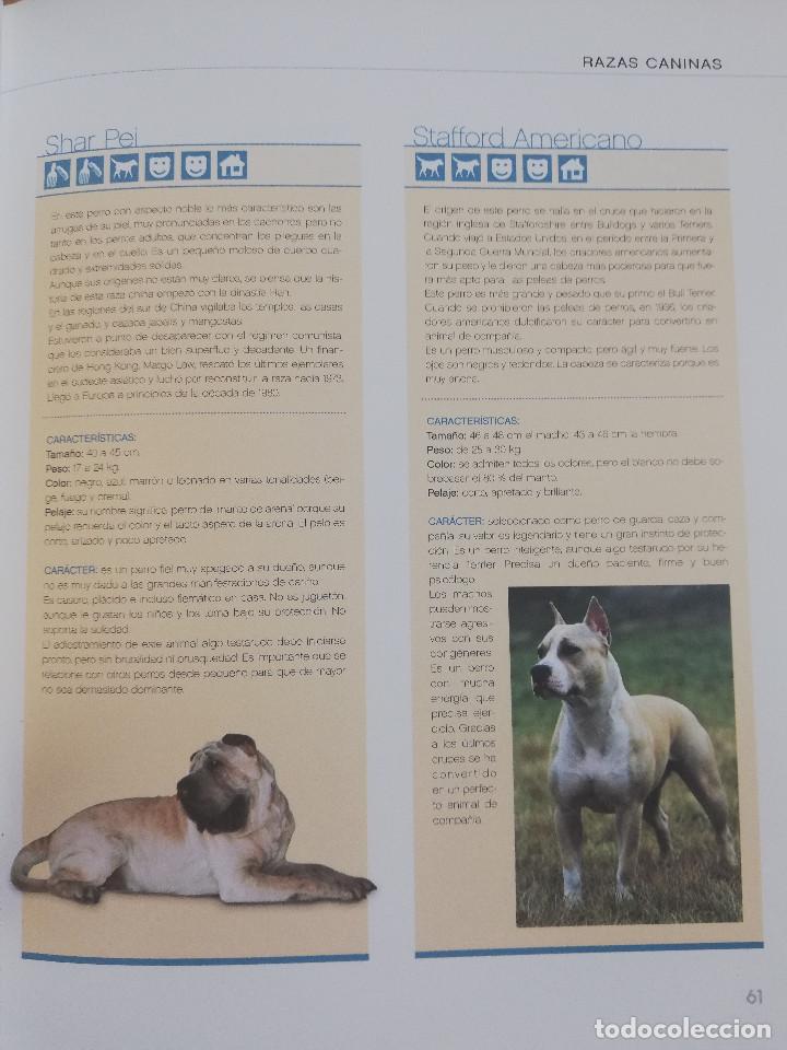 Libros de segunda mano: EL GRAN LIBRO DEL PERRO (ANDREAS HOFER) - Foto 10