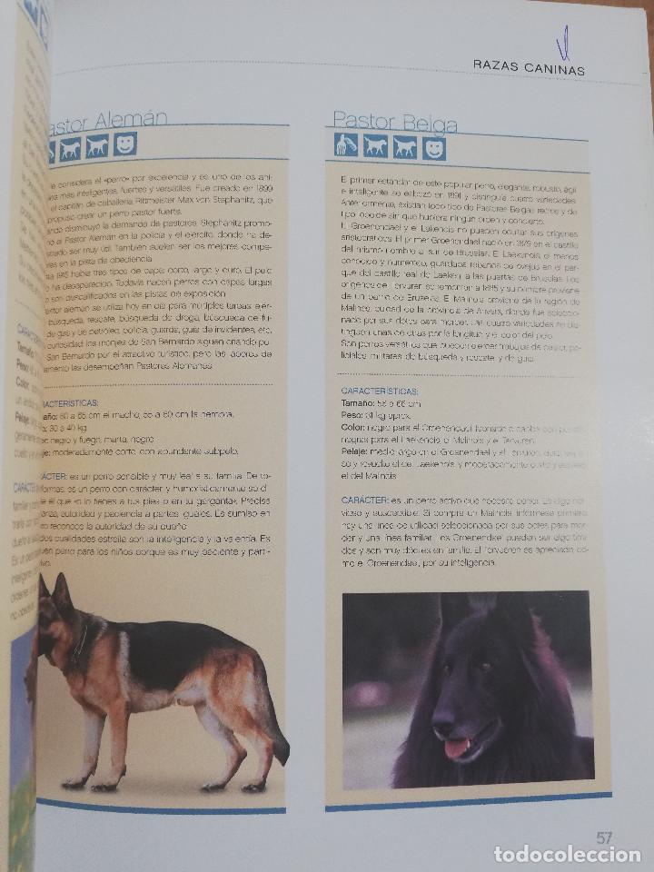 Libros de segunda mano: EL GRAN LIBRO DEL PERRO (ANDREAS HOFER) - Foto 11