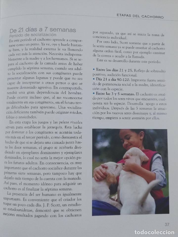 Libros de segunda mano: EL GRAN LIBRO DEL PERRO (ANDREAS HOFER) - Foto 12