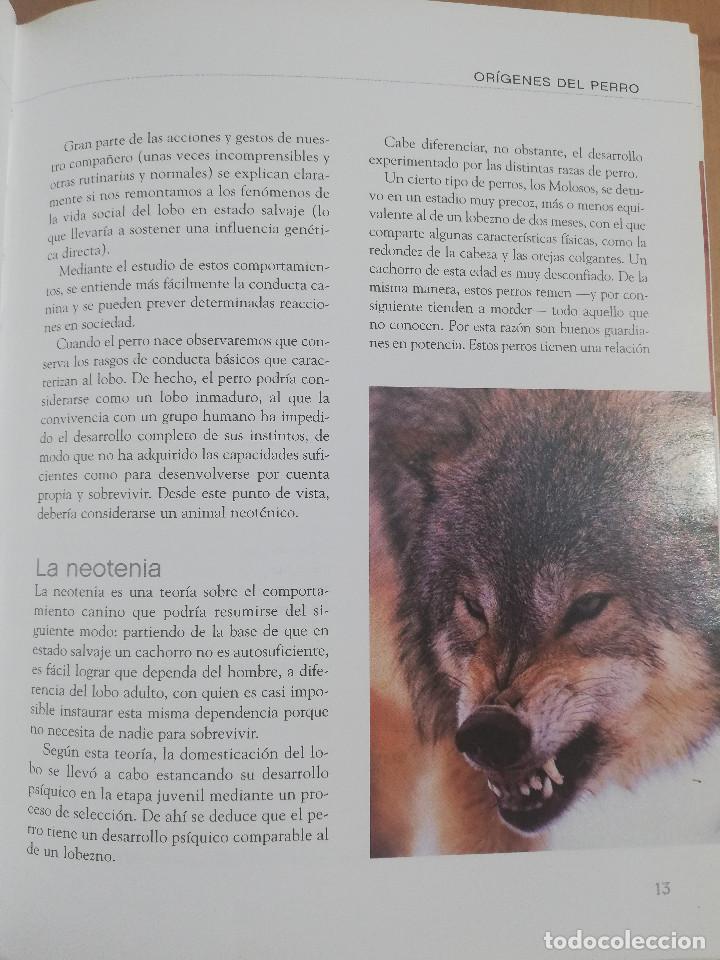Libros de segunda mano: EL GRAN LIBRO DEL PERRO (ANDREAS HOFER) - Foto 13