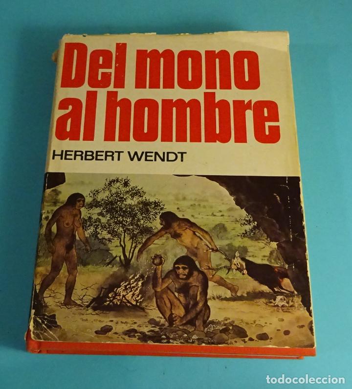 Libros de segunda mano: DEL MONO AL HOMBRE. HERBERT WENDT. CIRCULO DE LECTORES. 1976 - Foto 1