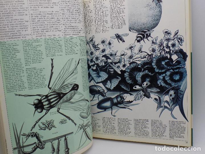 Libros de segunda mano de ciencias: GUIA PRACTICA LOS AMANTES DE LA CIENCIA - Foto 3