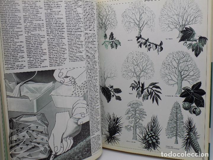 Libros de segunda mano de ciencias: GUIA PRACTICA LOS AMANTES DE LA CIENCIA - Foto 4