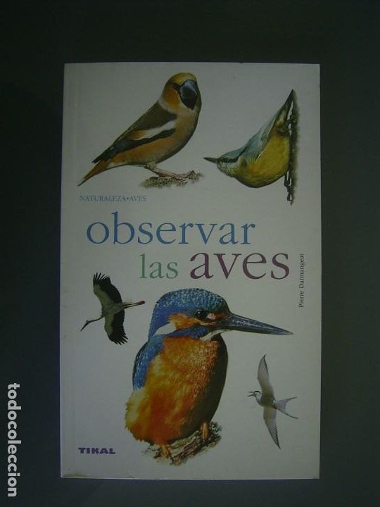 Libros de segunda mano: OBSERVAR LAS AVES - Pierre Darmangeat - Foto 1