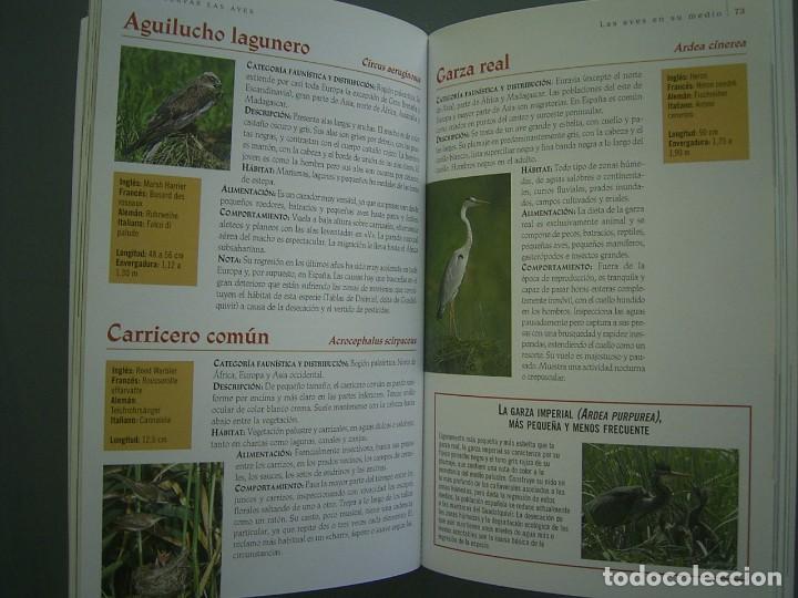 Libros de segunda mano: OBSERVAR LAS AVES - Pierre Darmangeat - Foto 4