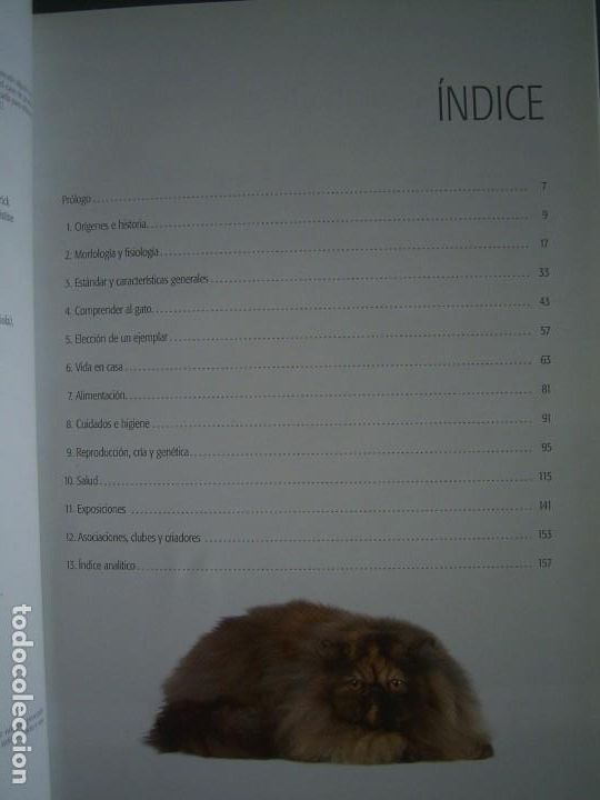 Libros de segunda mano: EL GATO PERSA - Mariolina Cappelletti - Foto 2