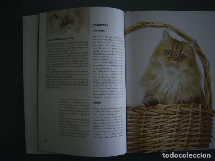 Libros de segunda mano: EL GATO PERSA - Mariolina Cappelletti - Foto 3