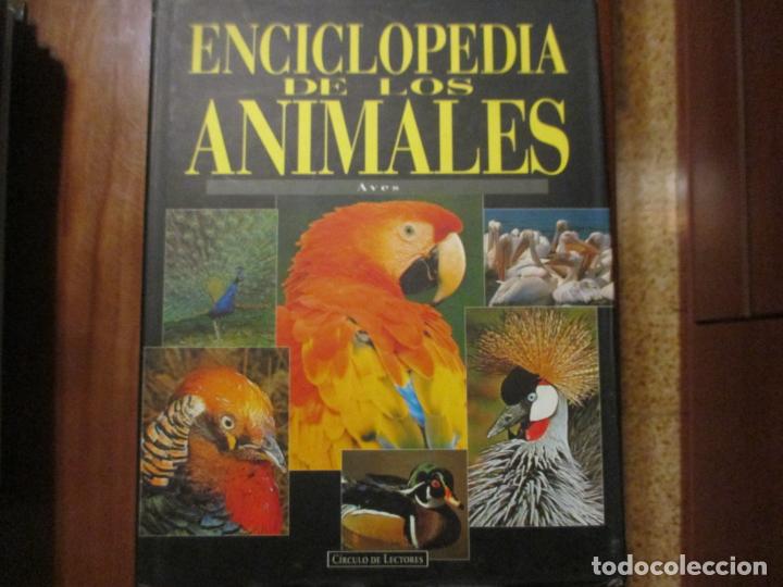 Libros de segunda mano: Enciclopedia de los animales. N&ordm; 2. Aves. - Foto 1