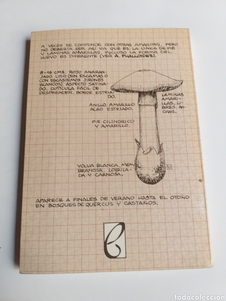 Libros de segunda mano: Las setas Joaqu&iacute;n G Cano - Foto 5