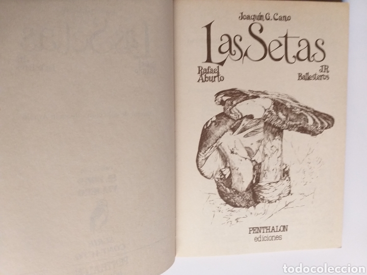 Libros de segunda mano: Las setas Joaqu&iacute;n G Cano - Foto 7