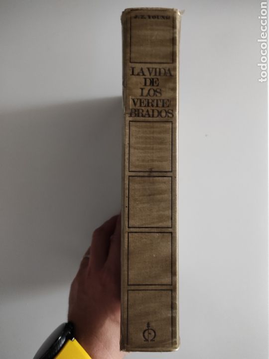 Libros de segunda mano: La vida de los vertebrados. J. Z. Young - Foto 2