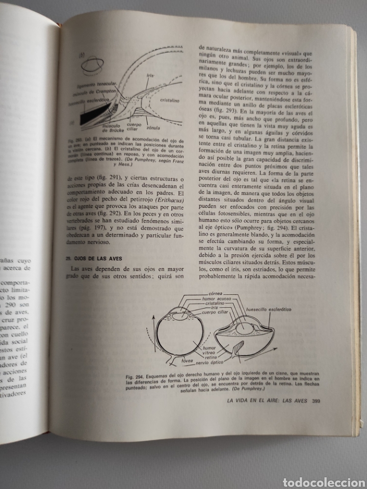 Libros de segunda mano: La vida de los vertebrados. J. Z. Young - Foto 7