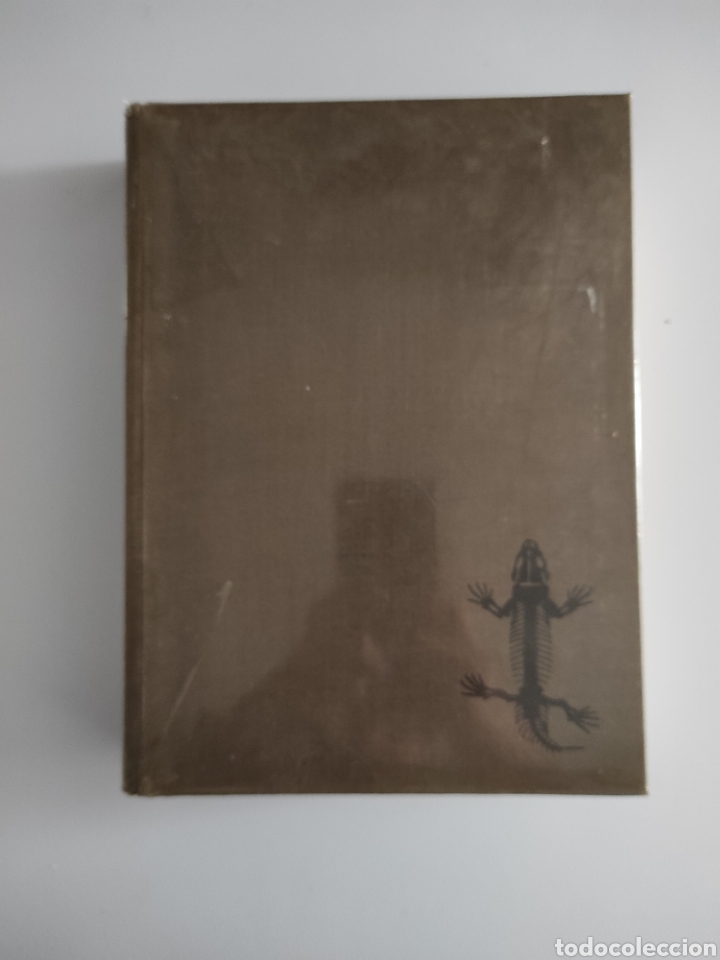 Libros de segunda mano: La vida de los vertebrados. J. Z. Young - Foto 1