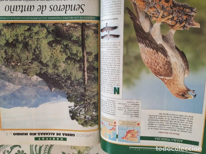 Libros de segunda mano: HABITAT 46 ESPACIOS NATURALES DE ESPA&Ntilde;A - Foto 5