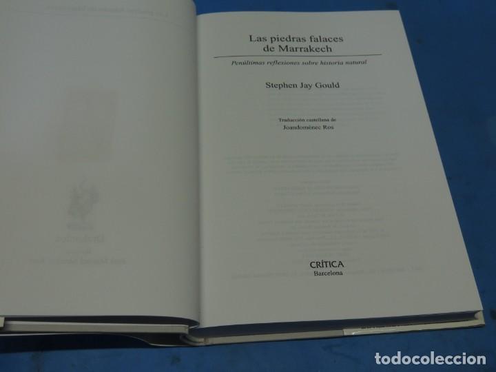Libros de segunda mano: LAS PIEDRAS FALACES DE MARRAKECH.- STEPHEN JAY GOULD - Foto 3
