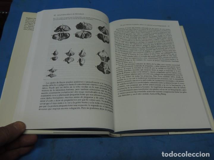 Libros de segunda mano: LAS PIEDRAS FALACES DE MARRAKECH.- STEPHEN JAY GOULD - Foto 6