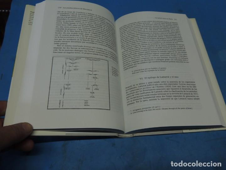 Libros de segunda mano: LAS PIEDRAS FALACES DE MARRAKECH.- STEPHEN JAY GOULD - Foto 7