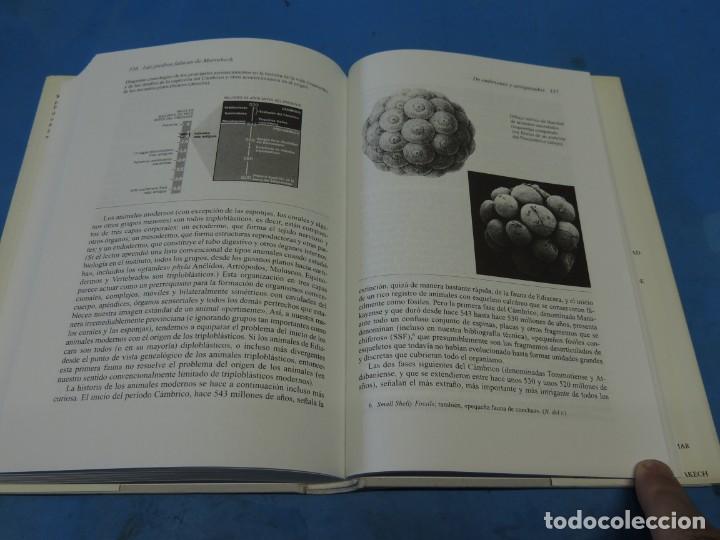 Libros de segunda mano: LAS PIEDRAS FALACES DE MARRAKECH.- STEPHEN JAY GOULD - Foto 11