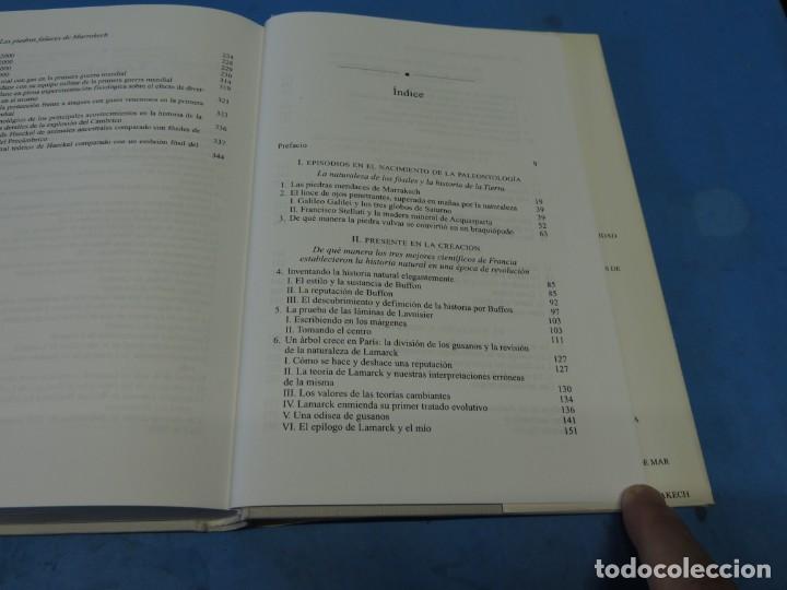 Libros de segunda mano: LAS PIEDRAS FALACES DE MARRAKECH.- STEPHEN JAY GOULD - Foto 12
