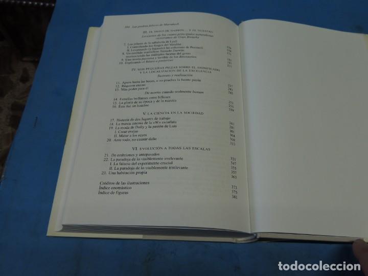 Libros de segunda mano: LAS PIEDRAS FALACES DE MARRAKECH.- STEPHEN JAY GOULD - Foto 13