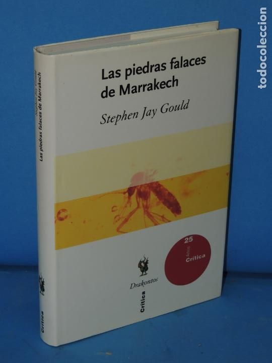 Libros de segunda mano: LAS PIEDRAS FALACES DE MARRAKECH.- STEPHEN JAY GOULD - Foto 1