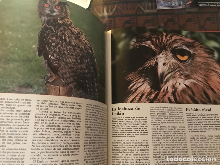 Libros de segunda mano: Las aves nocturnas. Noguer - Foto 3