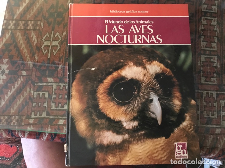 Libros de segunda mano: Las aves nocturnas. Noguer - Foto 1