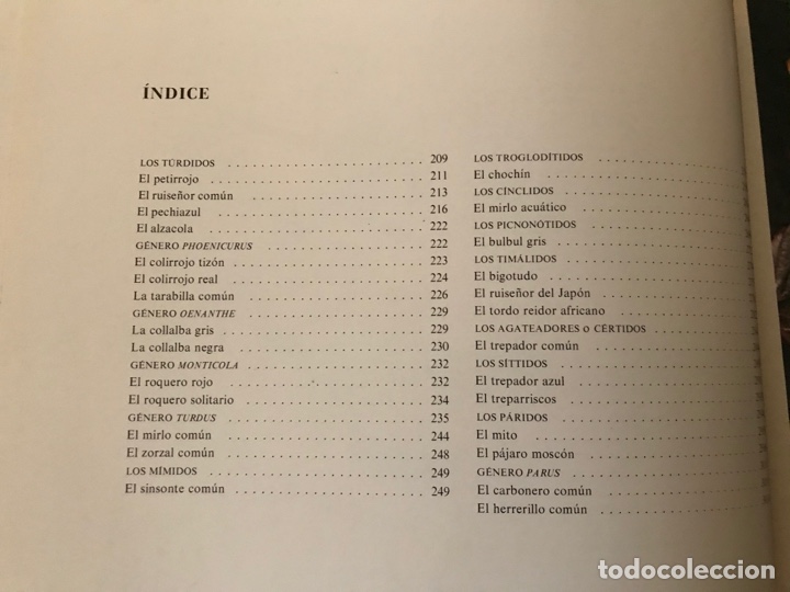Libros de segunda mano: Los cantores del bosque. Noguer - Foto 2