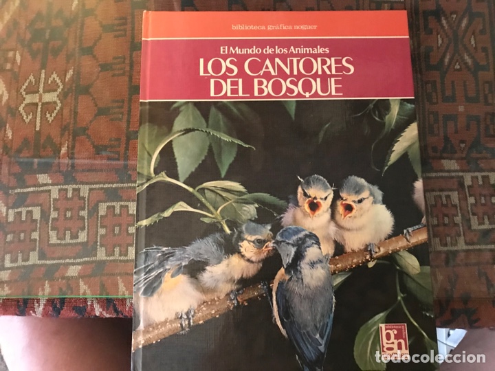 Libros de segunda mano: Los cantores del bosque. Noguer - Foto 1