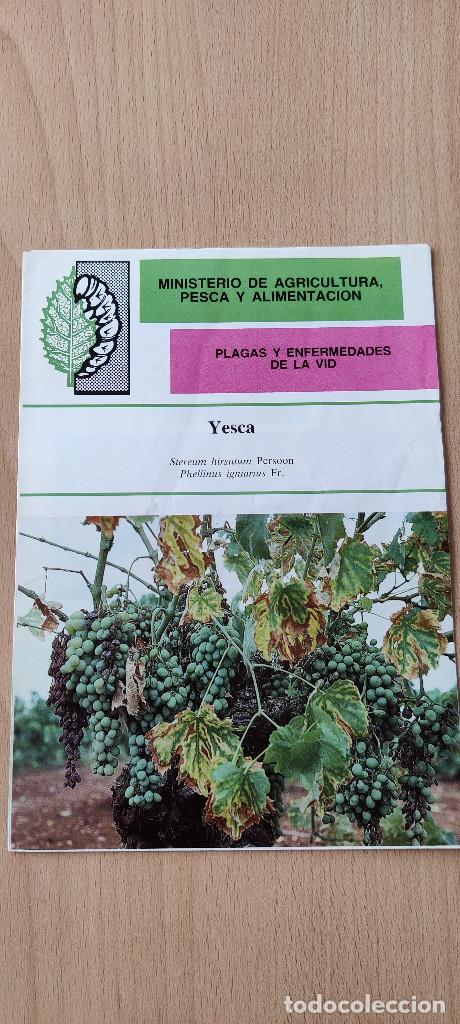 Libros de segunda mano: Tr&iacute;ptico Plagas y enfermedades de la vid. Yesca. 1987 - Foto 1