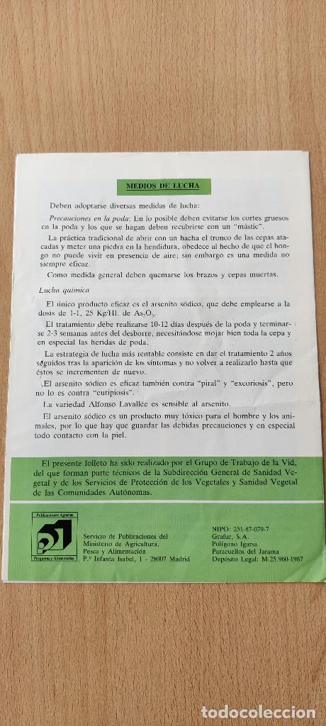 Libros de segunda mano: Tr&iacute;ptico Plagas y enfermedades de la vid. Yesca. 1987 - Foto 2