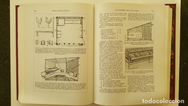 Libros de segunda mano: ENCICLOPEDIA DE AVICULTURA - Foto 2