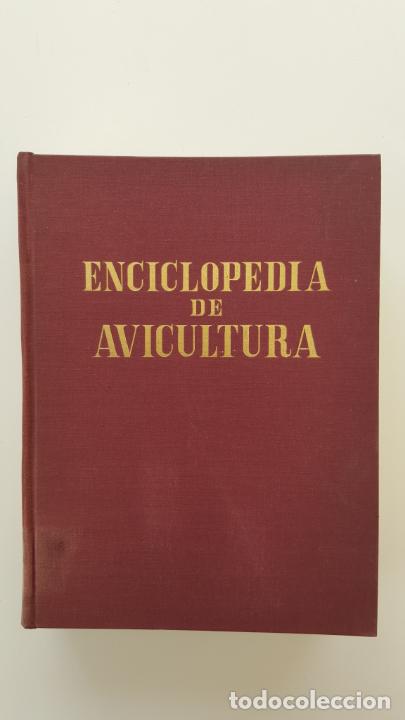 Libros de segunda mano: ENCICLOPEDIA DE AVICULTURA - Foto 1