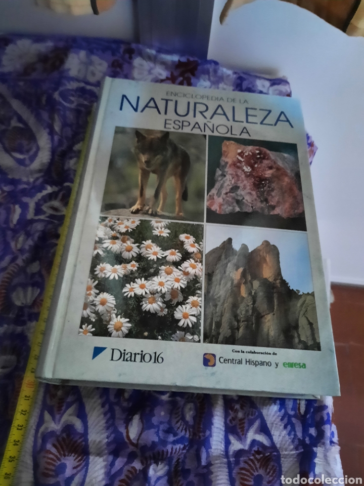Libros de segunda mano: Enciclopedia de la Naturaleza espa&ntilde;ola. - Foto 4