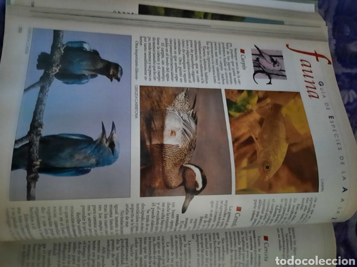 Libros de segunda mano: Enciclopedia de la Naturaleza espa&ntilde;ola. - Foto 7