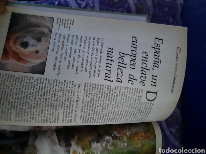 Libros de segunda mano: Enciclopedia de la Naturaleza espa&ntilde;ola. - Foto 9