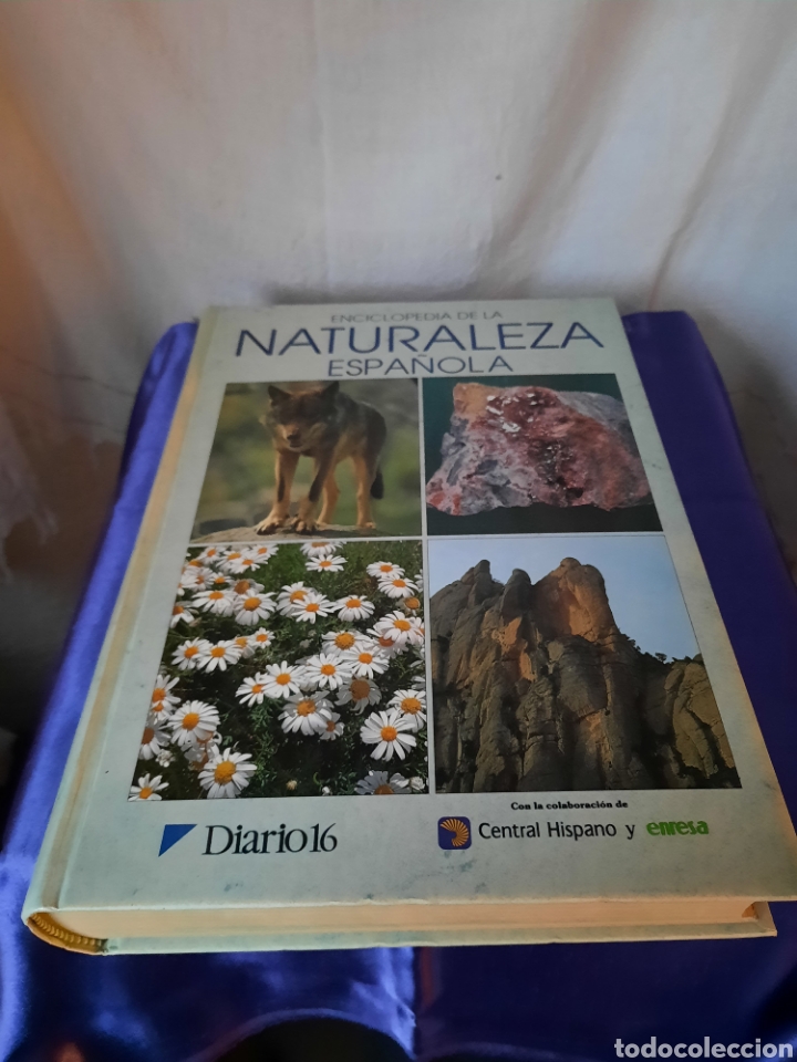 Gebrauchte B&uuml;cher: Enciclopedia de la Naturaleza espa&ntilde;ola.