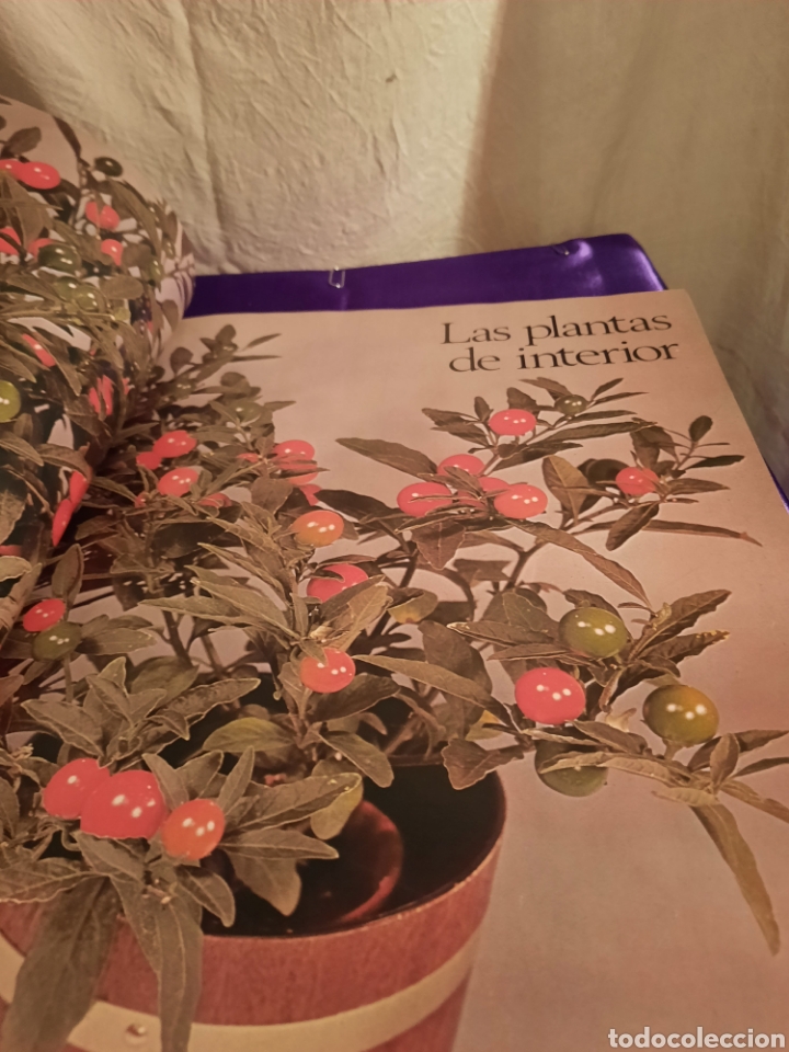 Libros de segunda mano: Flores y plantas en casa. - Foto 4
