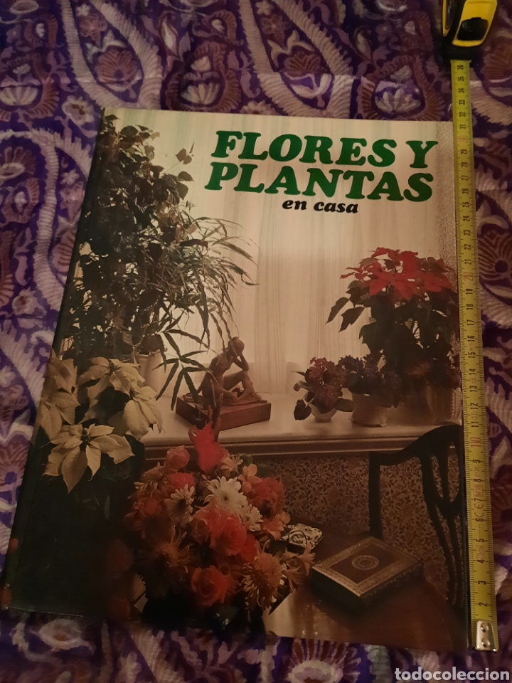 Libros de segunda mano: Flores y plantas en casa. - Foto 1